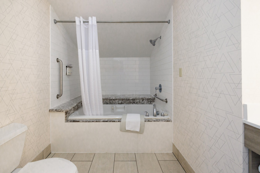 2 Queen Mini Suite