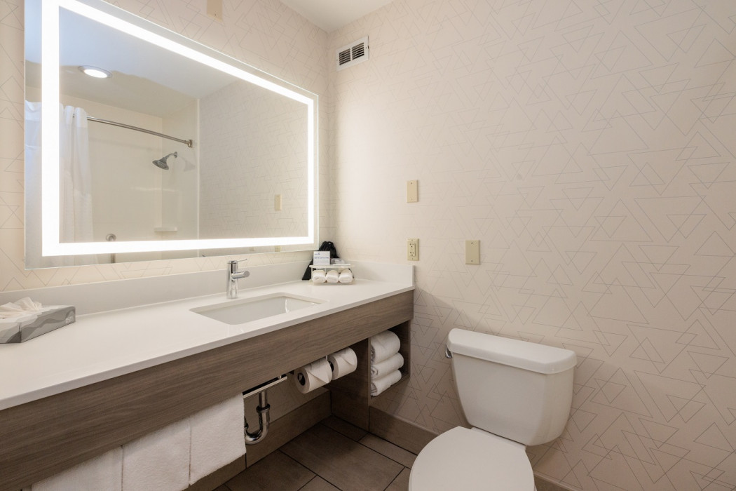 1 Bedroom Apartment Suite